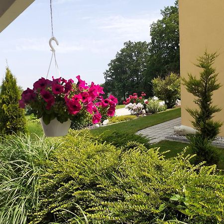 Villa Casa Sol-Rural Residence Near Linz Katsdorf Eksteriør billede